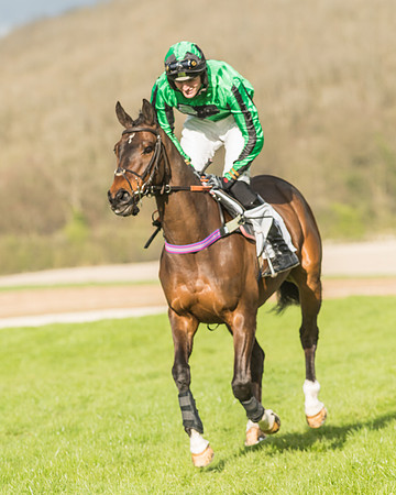 Race 6 - Open Maiden -50