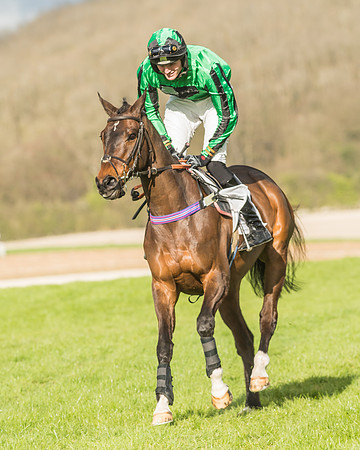 Race 6 - Open Maiden -51