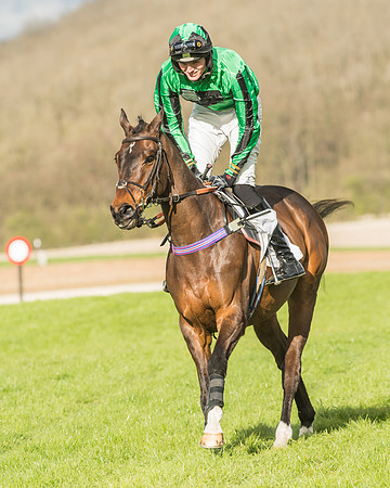 Race 6 - Open Maiden -52