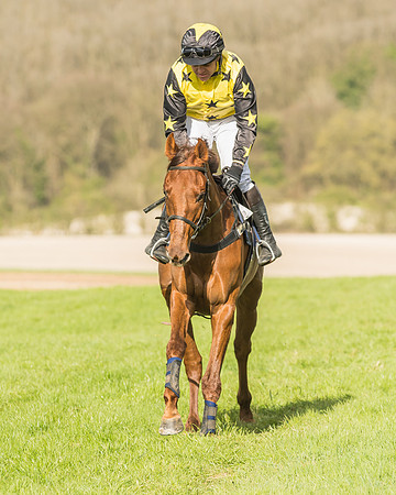 Race 6 - Open Maiden -61
