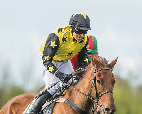 Race 6 - Open Maiden -91