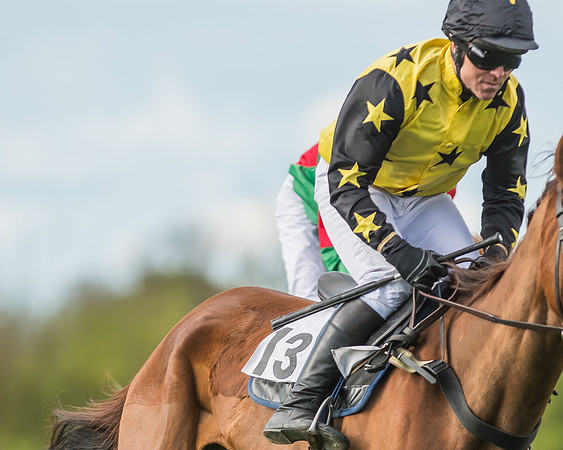 Race 6 - Open Maiden -93
