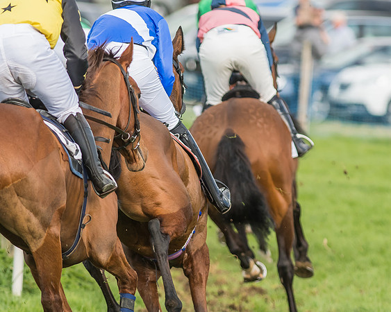 Race 6 - Open Maiden -96
