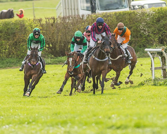 Race 6 - Open Maiden -101