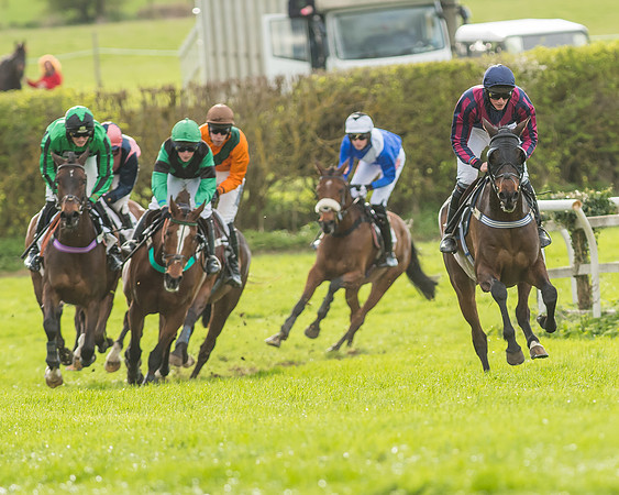 Race 6 - Open Maiden -102