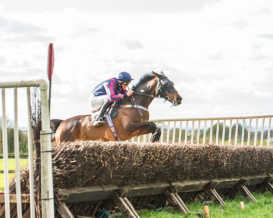 Race 6 - Open Maiden -110