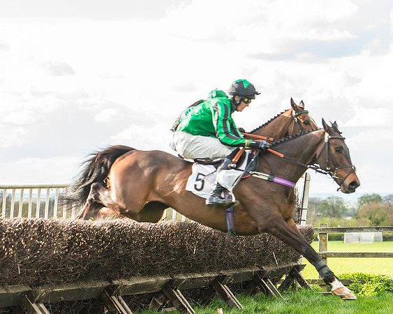 Race 6 - Open Maiden -116