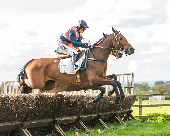 Race 6 - Open Maiden -119