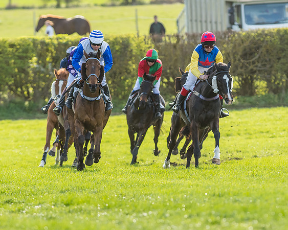 Race 7 - The Restricted Race-49