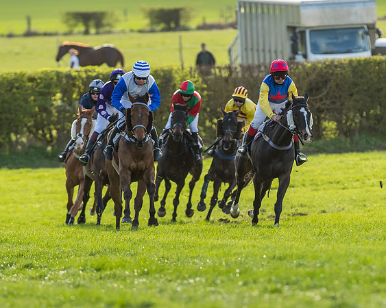Race 7 - The Restricted Race-50