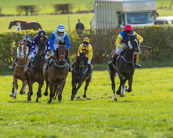 Race 7 - The Restricted Race-52