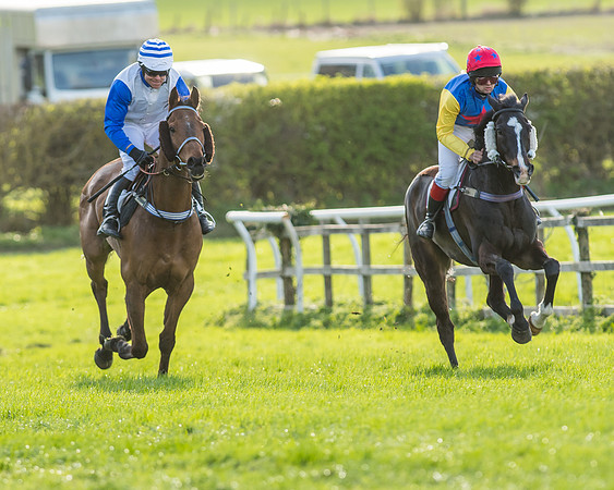 Race 7 - The Restricted Race-53