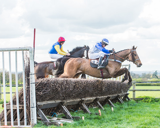 Race 7 - The Restricted Race-57