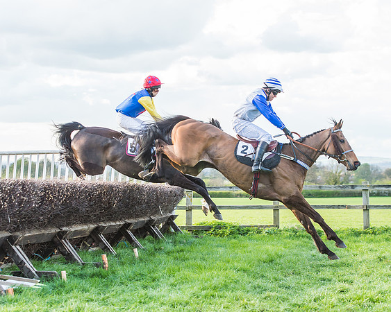 Race 7 - The Restricted Race-59