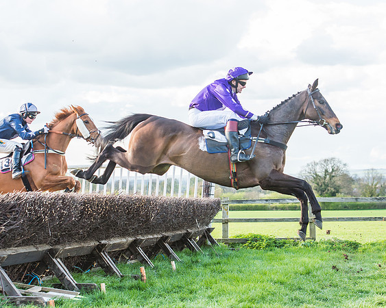 Race 7 - The Restricted Race-61