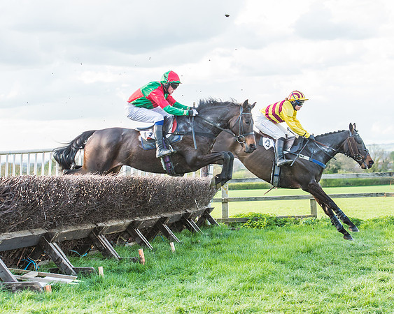 Race 7 - The Restricted Race-67
