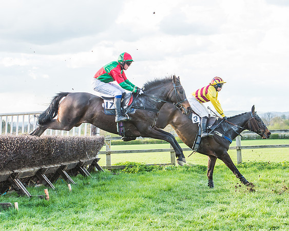 Race 7 - The Restricted Race-68