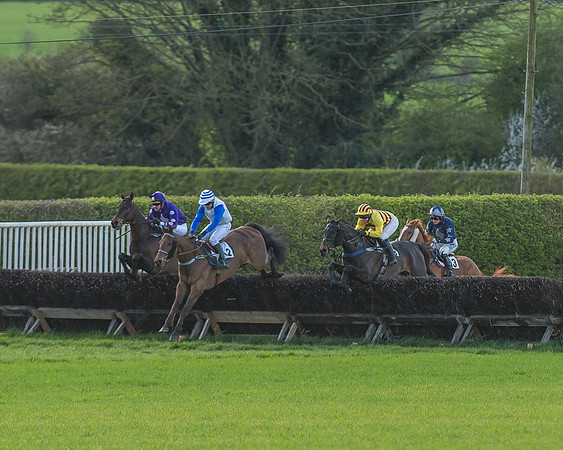 Race 7 - The Restricted Race-70
