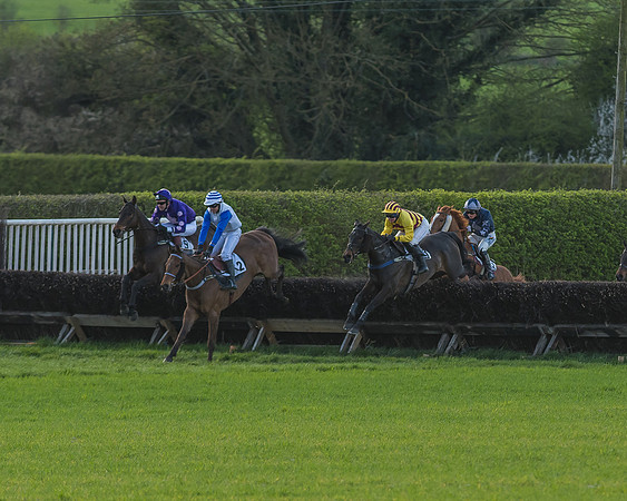 Race 7 - The Restricted Race-71