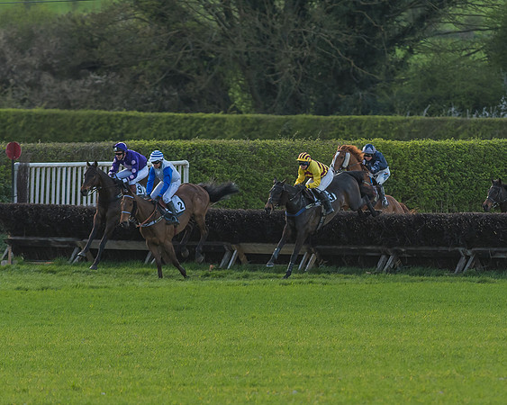 Race 7 - The Restricted Race-72