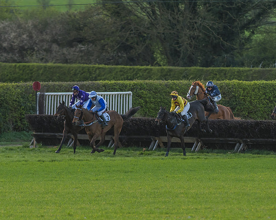Race 7 - The Restricted Race-74