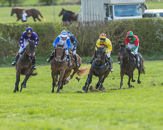Race 7 - The Restricted Race-75