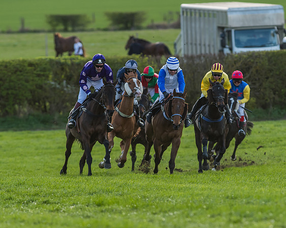 Race 7 - The Restricted Race-78