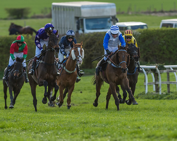 Race 7 - The Restricted Race-81