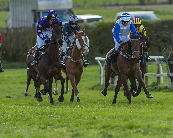 Race 7 - The Restricted Race-84