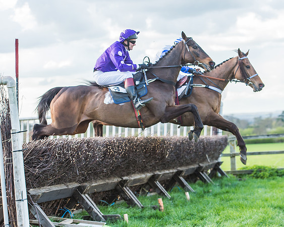 Race 7 - The Restricted Race-88