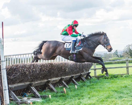 Race 7 - The Restricted Race-90