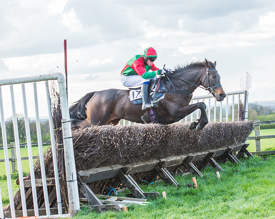 Race 7 - The Restricted Race-95