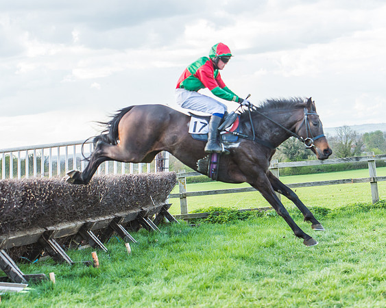 Race 7 - The Restricted Race-96