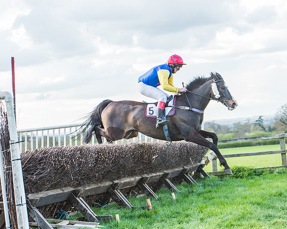 Race 7 - The Restricted Race-97