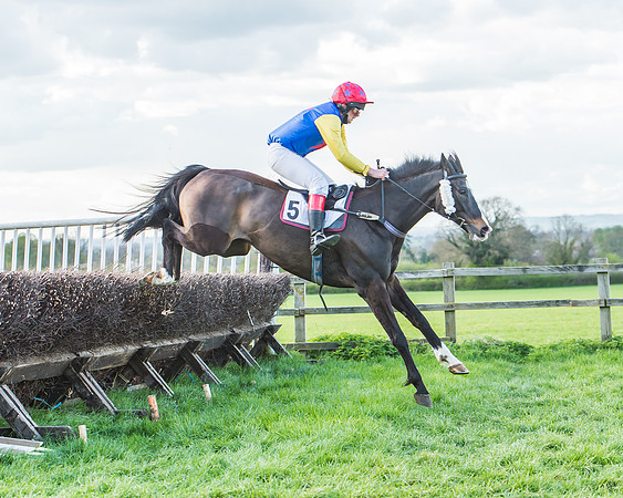 Race 7 - The Restricted Race-98