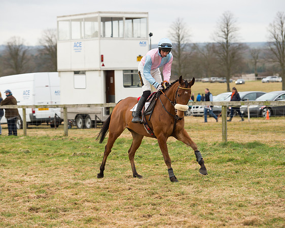 Race 6 - Open Maiden (40 of 100).jpg
