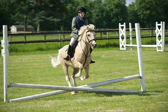 SOHS PC Summer Show at BCA 17th June 2012