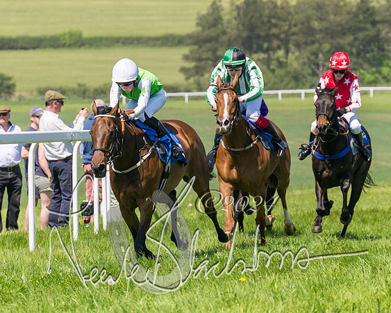 Pony Races  (72 of 141)