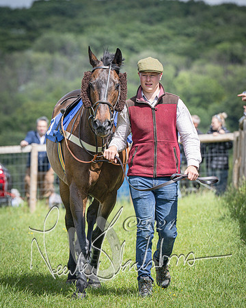 Race 1 - The owner-trainer Conditions race (10 of 118)