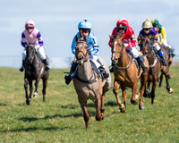 Oakley Ponies (19 of 96).jpg
