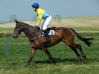 picture-3