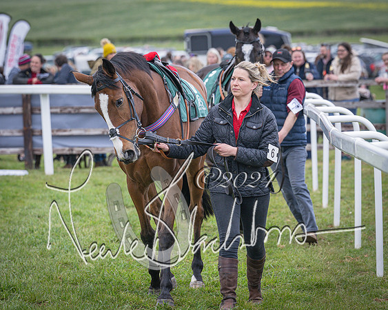 Race 2 - Tattersalls Cheltenham 4 year old Maiden (7 of 85)