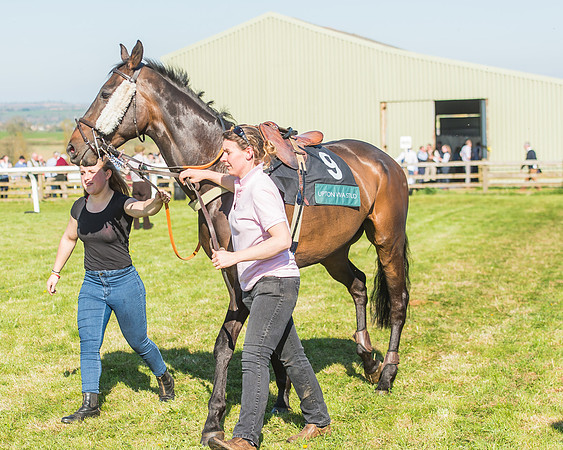 Race 5 - The Restricted Race-1