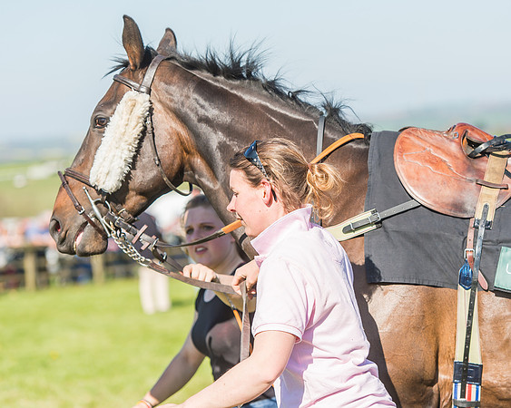 Race 5 - The Restricted Race-2