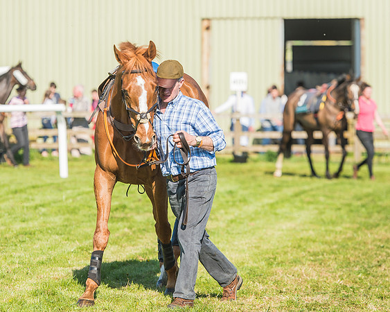 Race 5 - The Restricted Race-7