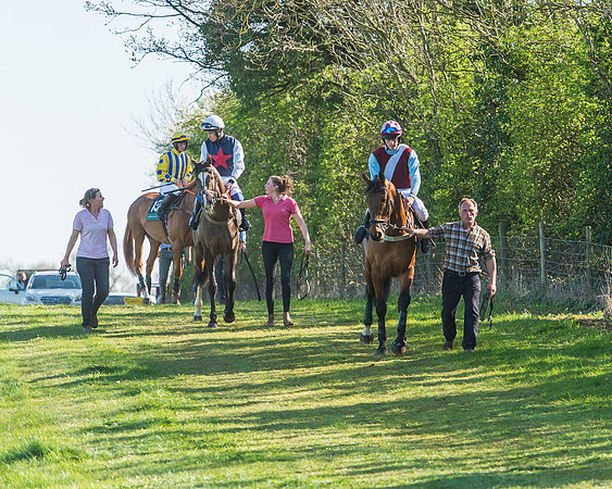 Race 5 - The Restricted Race-15