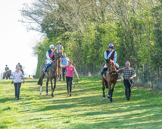 Race 5 - The Restricted Race-16