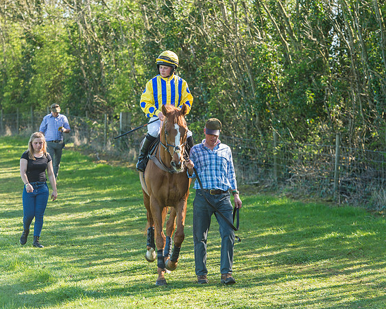 Race 5 - The Restricted Race-25