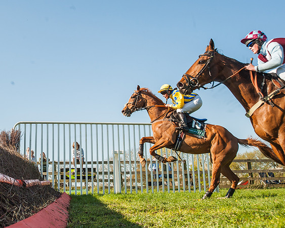 Race 5 - The Restricted Race-31