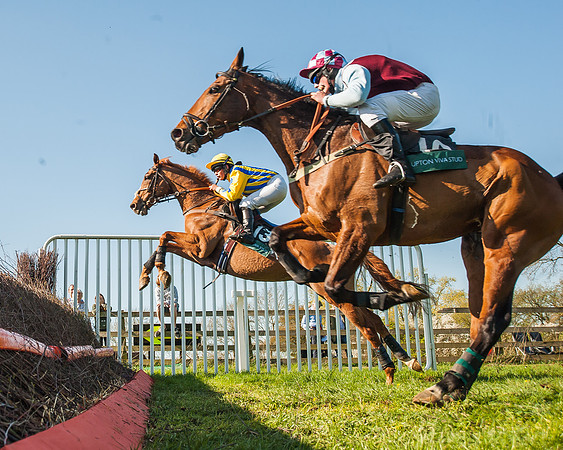 Race 5 - The Restricted Race-32